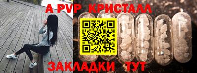 индика Владимир