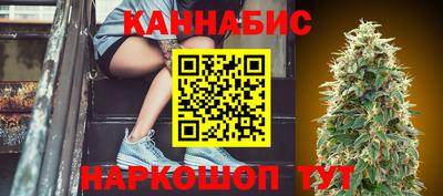 индика Владимир