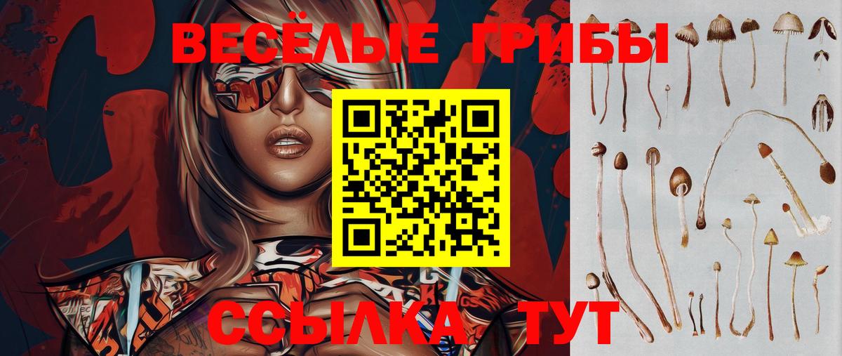 Псилоцибиновые грибы Psilocybe  Галлюциногенные грибы GOLDEN TEACHER  Коркино  Вход с VPN 